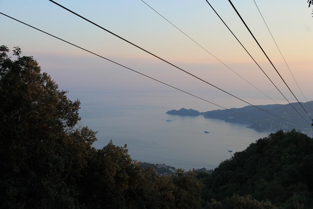 Hotel Montallegro Rapallo Extérieur photo