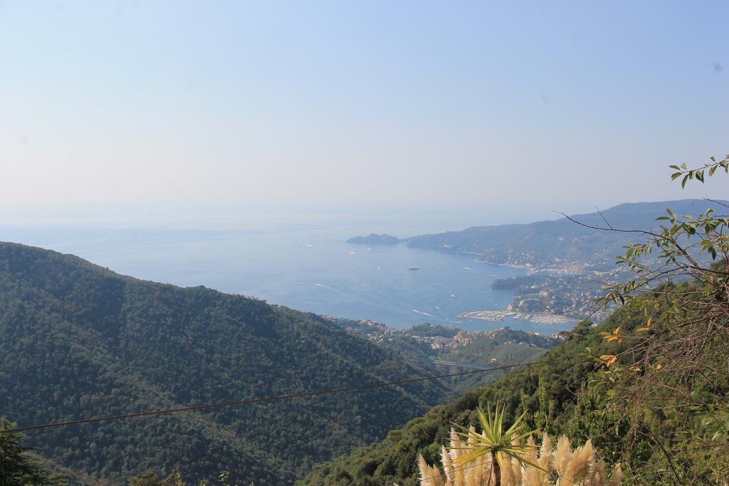 Hotel Montallegro Rapallo Extérieur photo