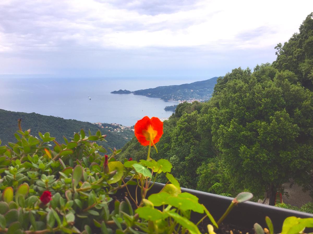 Hotel Montallegro Rapallo Extérieur photo